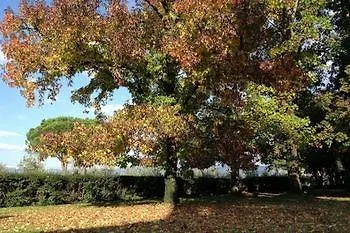 Relais Sagramoso Sacchetti Séjour à la ferme *