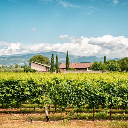 Relais Sagramoso Sacchetti