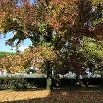 Relais Sagramoso Sacchetti Séjour à la ferme *